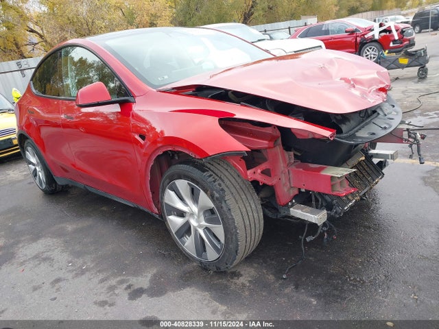 2020 TESLA MODEL Y 5YJYGDEEXLF030364 Photo 0
