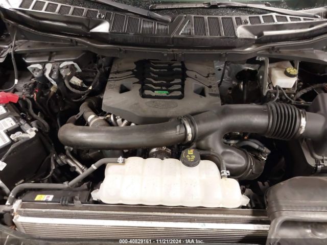 1FTFW1E81NFB52645 Ford F-150 Xlt