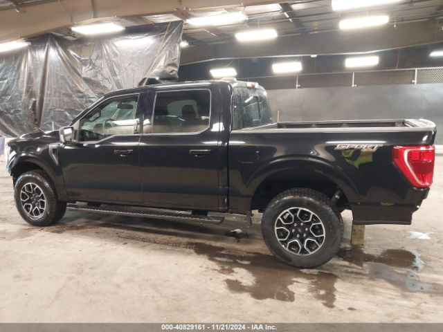 1FTFW1E81NFB52645 Ford F-150 Xlt