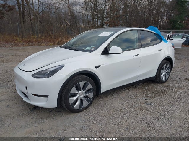 2023 TESLA MODEL Y 7SAYGDEE1PA173984 Photo 1