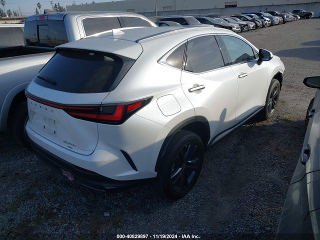 JTJHKCFZ6N2009153 Lexus Nx 450h+ Luxury