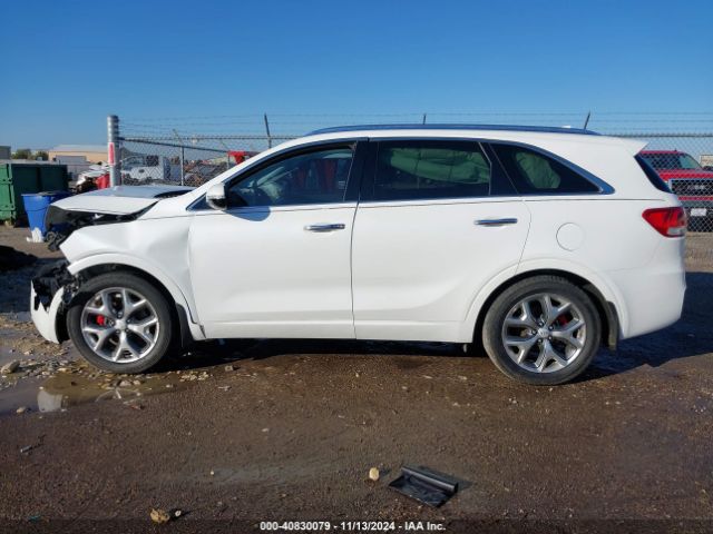 5XYPK4A52HG295683 KIA Sorento 3.3l Sx