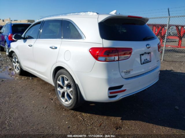 5XYPK4A52HG295683 KIA Sorento 3.3l Sx