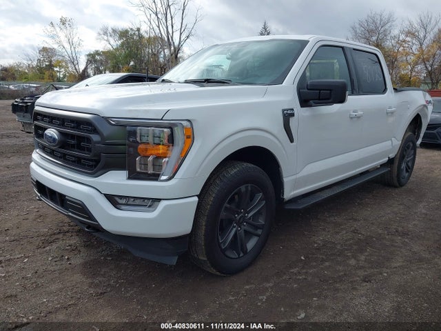 Ford F-150 Xlt 2023 1FTFW1E81PKF68723 Image 2