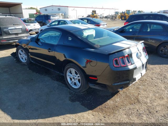 2014 FORD MUSTANG 1ZVBP8AM3E5313796 Photo 2