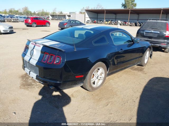 2014 FORD MUSTANG 1ZVBP8AM3E5313796 Photo 3