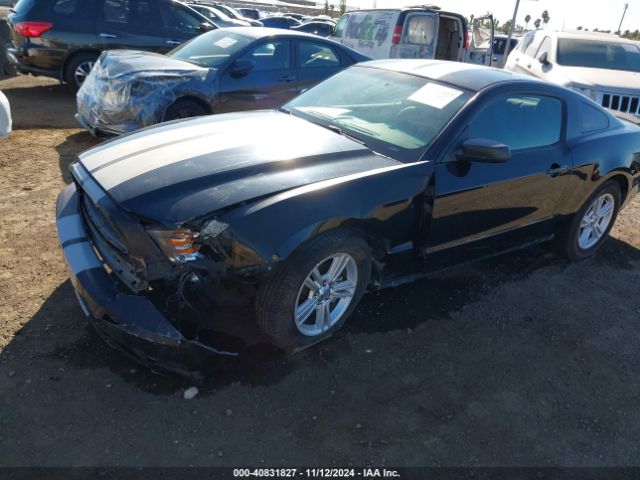 2014 FORD MUSTANG 1ZVBP8AM3E5313796 Photo 5