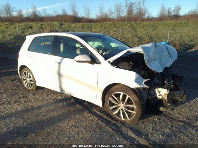 3VW217AU0FM004892 auction archive image