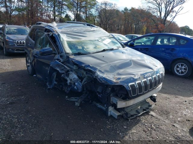 1C4PJMDX1LD589048 auction archive image