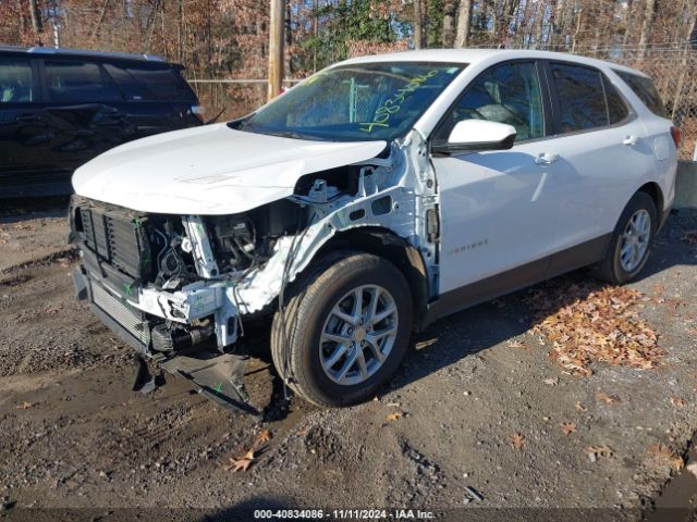 3GNAXKEG4RL113099 Chevrolet Equinox Fwd Lt