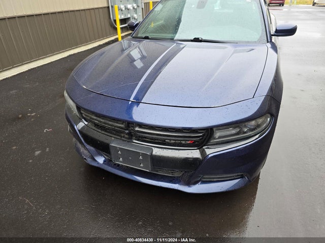 2C3CDXAT0GH165480 Dodge Charger Police