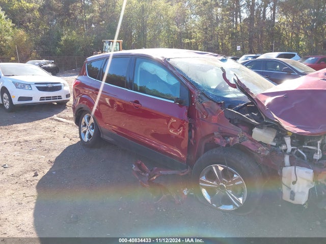 Ford ESCAPE SE 2014 1FMCU0GX4EUB04832 Image 11