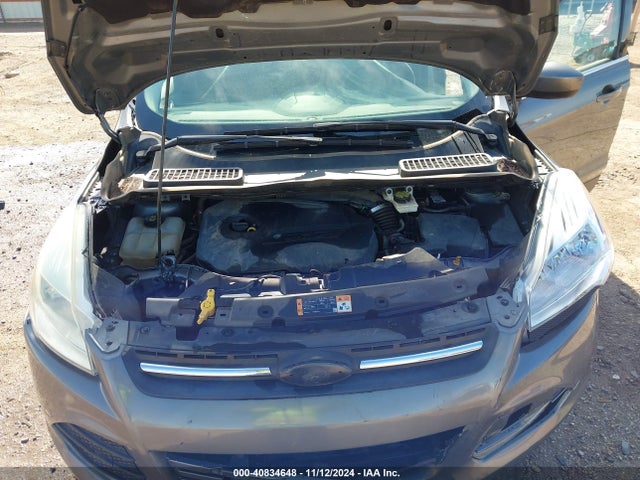 Ford ESCAPE SE 2014 1FMCU0GX4EUE51951 Image 10