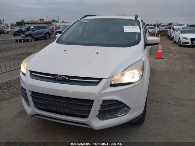 Ford ESCAPE SE 2014 1FMCU0G98EUE41375 Image 6