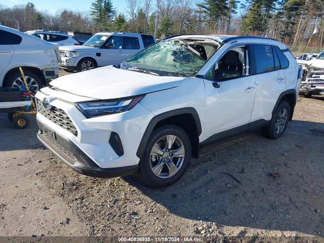 Toyota Rav4 Xle 2024 2T3P1RFV7RC394481 Image 2
