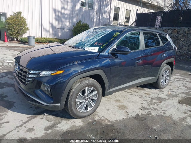 KM8JBCD11RU192193 Hyundai Tucson Hybrid Blue