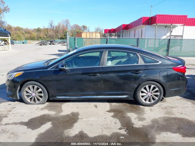 5NPE34AF5GH321701 Hyundai Sonata Sport