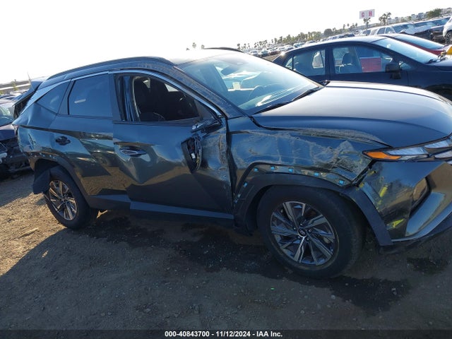 KM8JBCA10PU098890 Hyundai Tucson Hybrid Blue