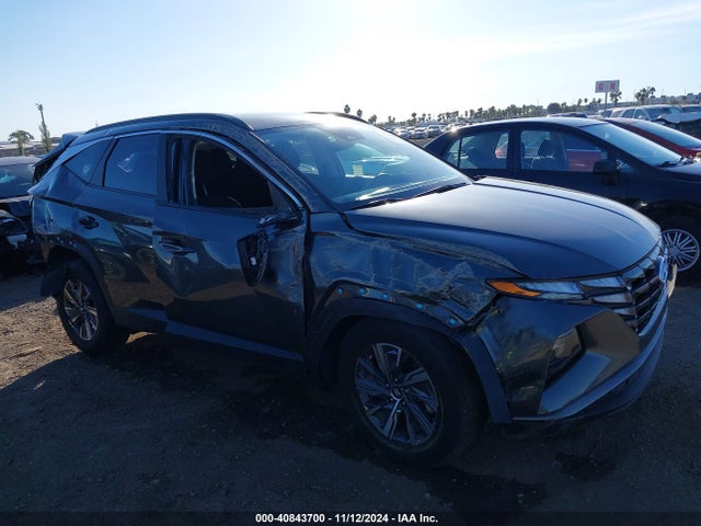 KM8JBCA10PU098890 Hyundai Tucson Hybrid Blue