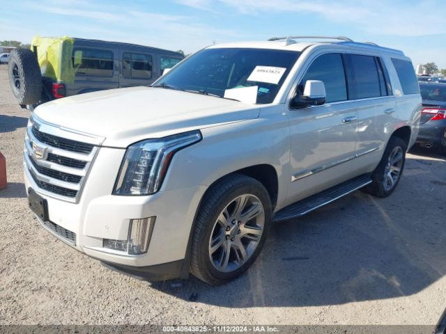 1GYS4MKJ5FR652377 Cadillac Escalade Luxury