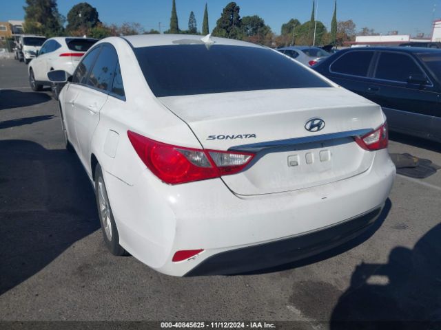 5NPEB4AC0EH910208 Hyundai SONATA GLS