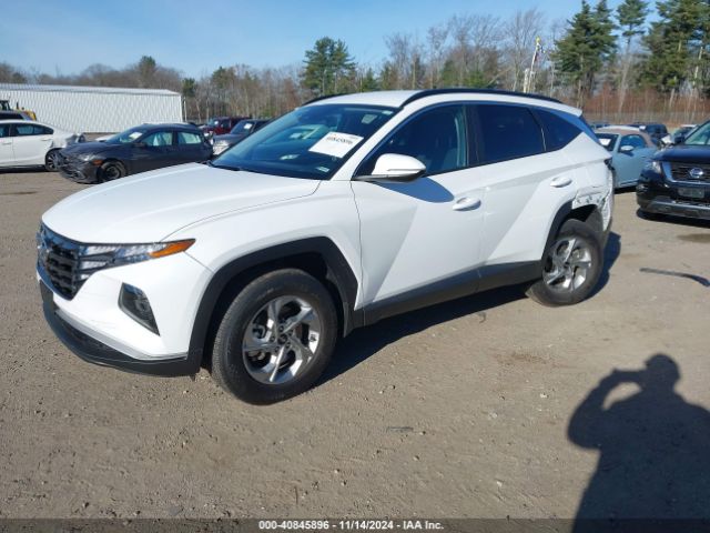 5NMJBCAE1PH232269 Hyundai TUCSON SEL