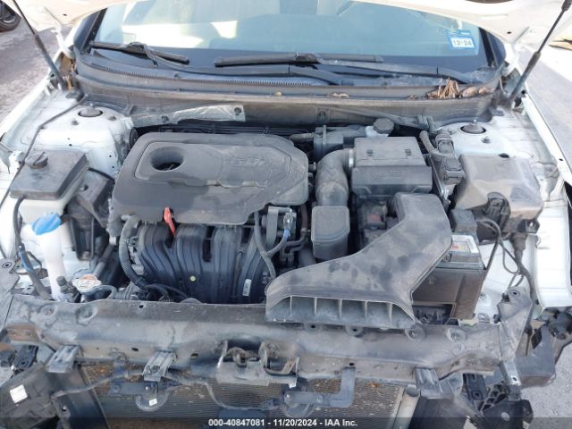 5NPE34AF4KH770196 Hyundai SONATA SEL