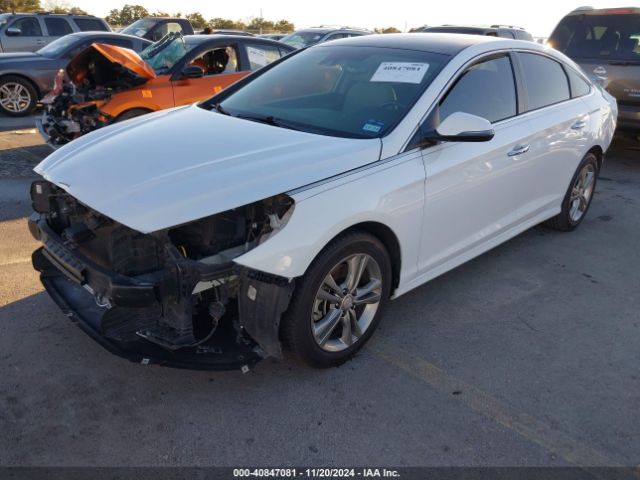 5NPE34AF4KH770196 Hyundai SONATA SEL