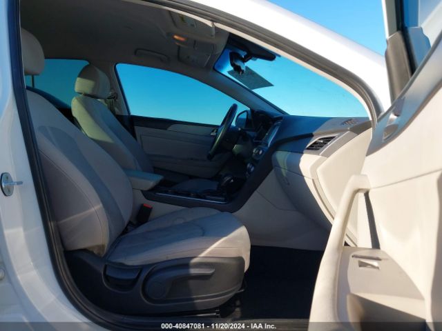 5NPE34AF4KH770196 Hyundai SONATA SEL