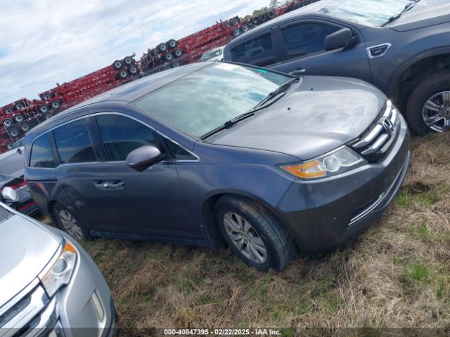 5FNRL5H6XGB062361 Honda Odyssey Ex-l
