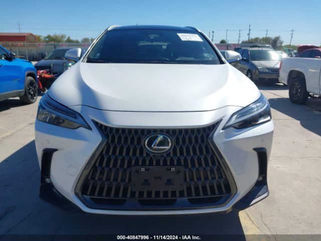 JTJHKCEZXN5004487 Lexus Nx 350h Luxury