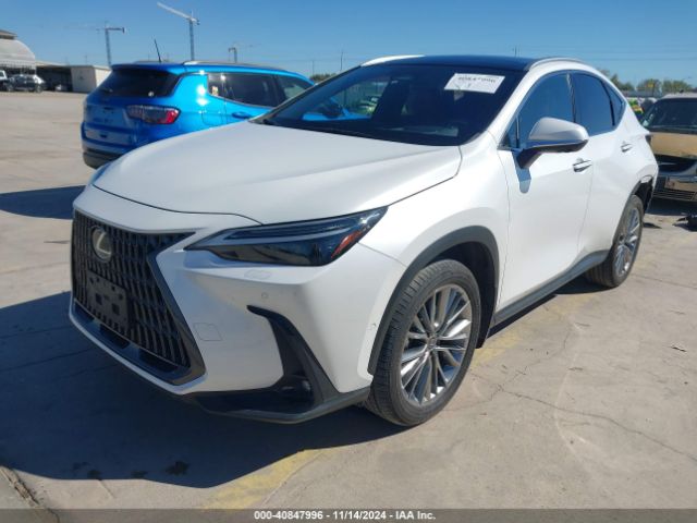 JTJHKCEZXN5004487 Lexus Nx 350h Luxury