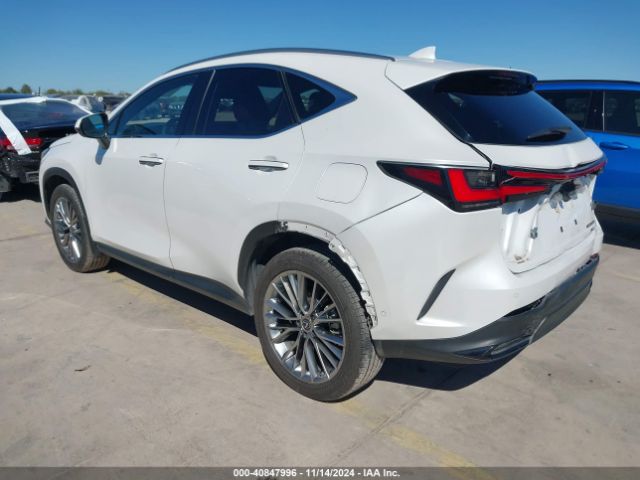 JTJHKCEZXN5004487 Lexus Nx 350h Luxury