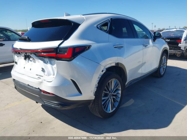 JTJHKCEZXN5004487 Lexus Nx 350h Luxury