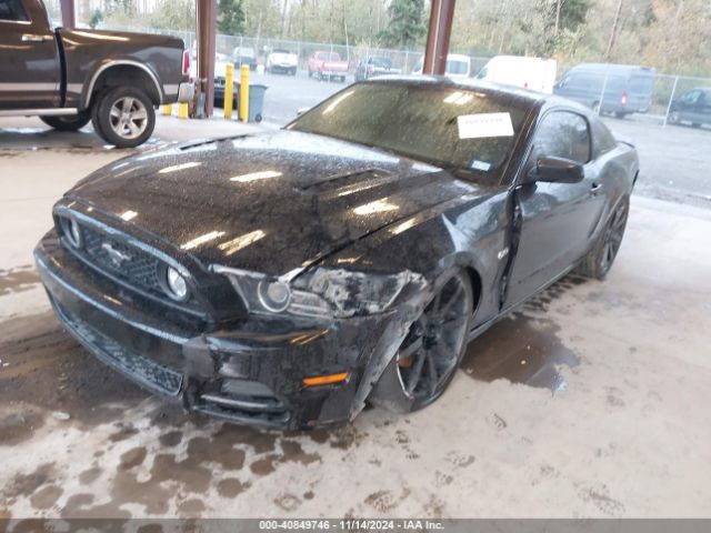 1ZVBP8CFXE5334546 Ford Mustang Gt Premium