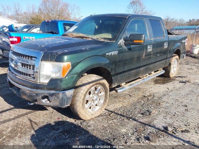Ford F-150 Xlt 2014 1FTFW1EF4EKG40798 Image 2