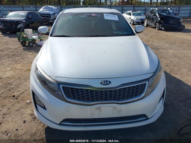 KNAGM4AD9G5092389 KIA OPTIMA HYBRID