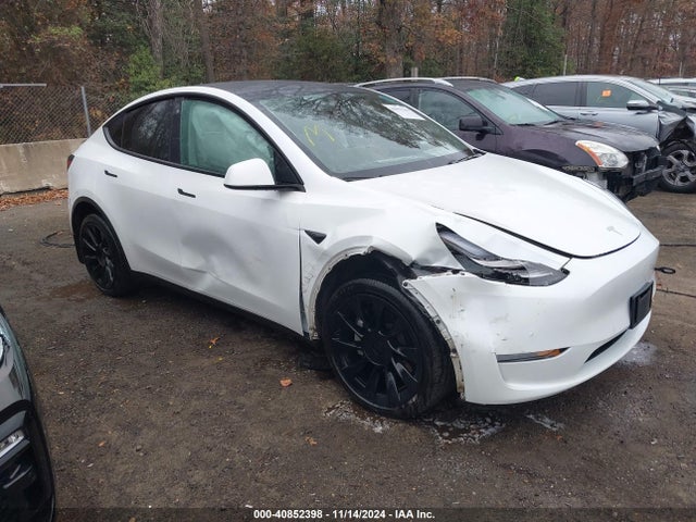 2020 TESLA MODEL Y 5YJYGDEE5LF045726 Photo 0