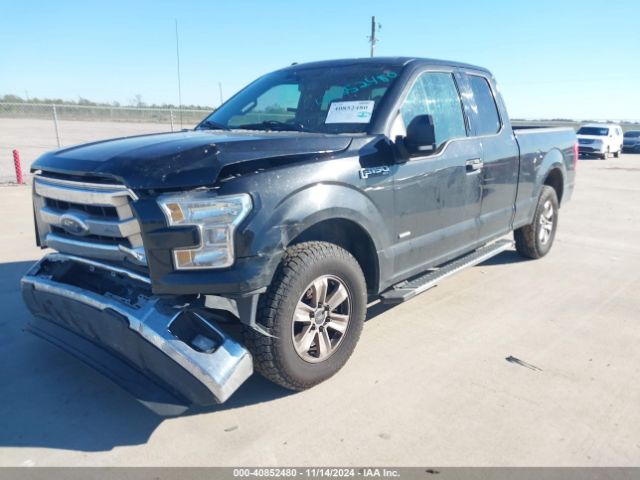 1FTEX1CP3FKF01719 Ford F-150 Xlt
