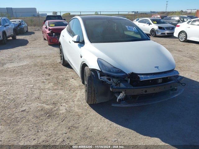 2020 TESLA MODEL Y 5YJYGDEEXLF027187 Photo 0