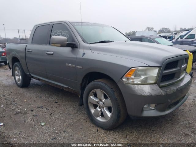2009 DODGE RAM 1500 1D3HV13T29S825935