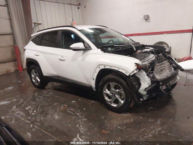 Hyundai TUCSON SEL 2023 5NMJBCAE9PH258473 Image 1