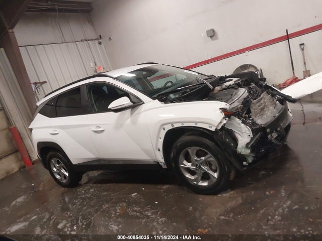 Hyundai TUCSON SEL 2023 5NMJBCAE9PH258473 Image 14