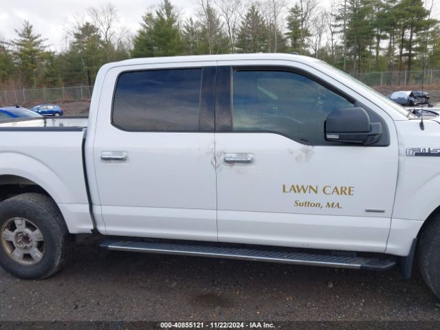 1FTEW1EG4HFA38873 Ford F-150 Xlt