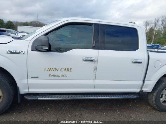 1FTEW1EG4HFA38873 Ford F-150 Xlt