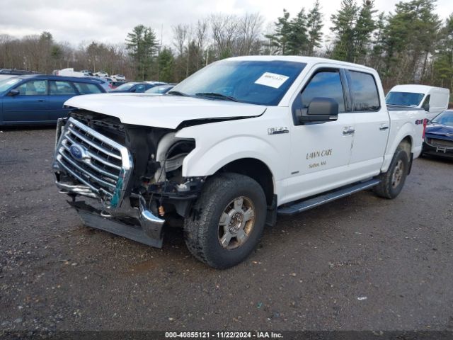 1FTEW1EG4HFA38873 Ford F-150 Xlt