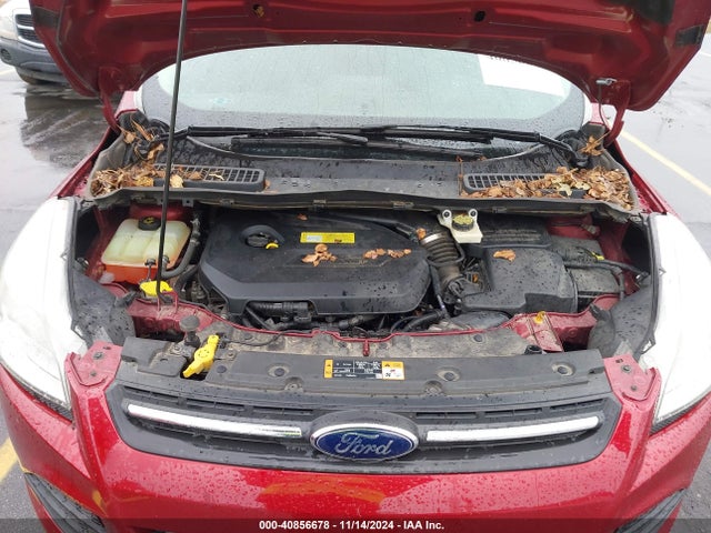 Ford ESCAPE SE 2014 1FMCU9GX4EUA75014 Image 10
