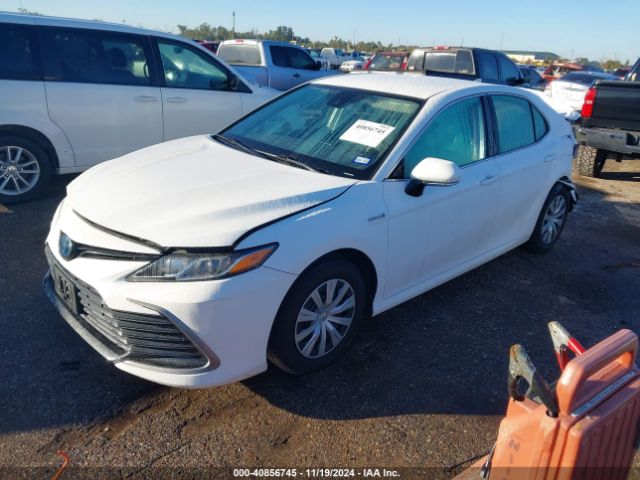 4T1C31AKXMU562069 Toyota Camry Le Hybrid