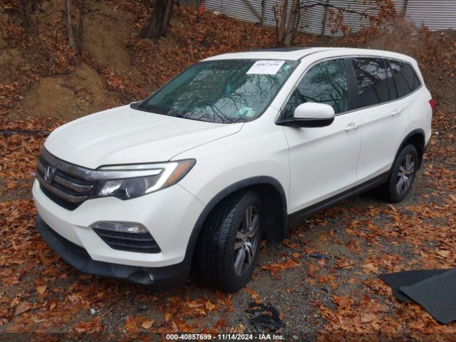 5FNYF6H54HB055021 Honda Pilot Ex-l
