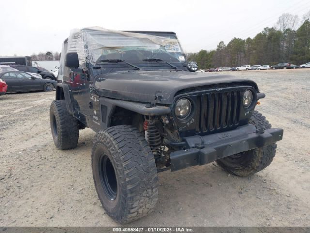 2003 JEEP WRANGLER 1J4FA39S33P375741